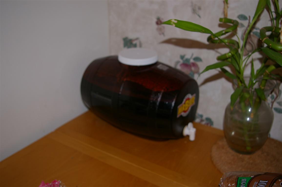 The Mr. Beer fermentor